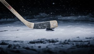 Hockey Season Standouts
