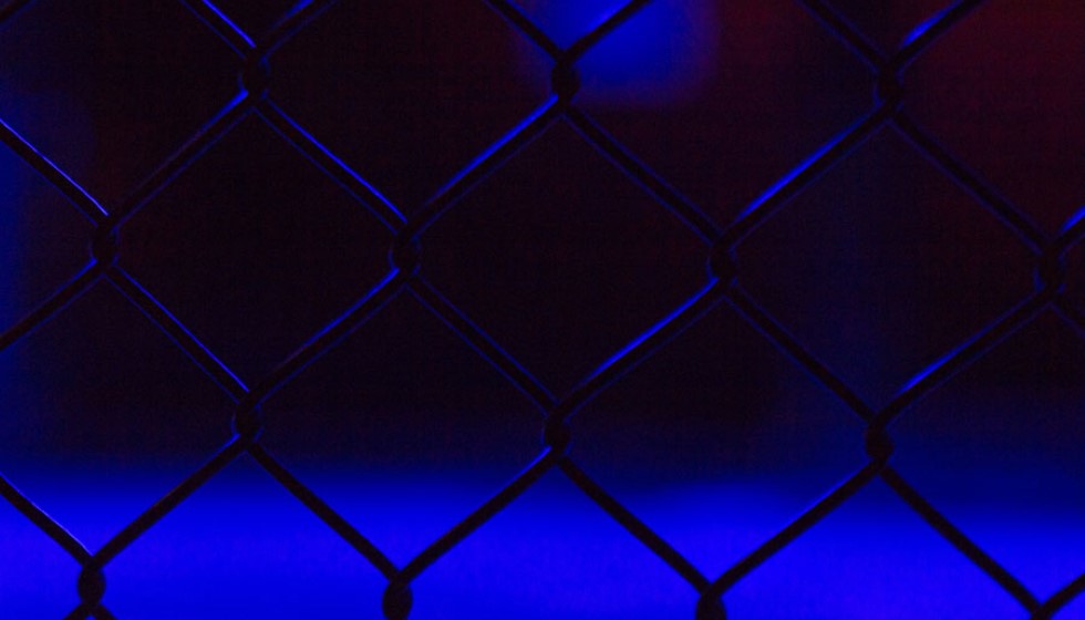 Dominant Victory: Caio Borralho Defeats Jared Cannonier in UFC Middleweight Clash